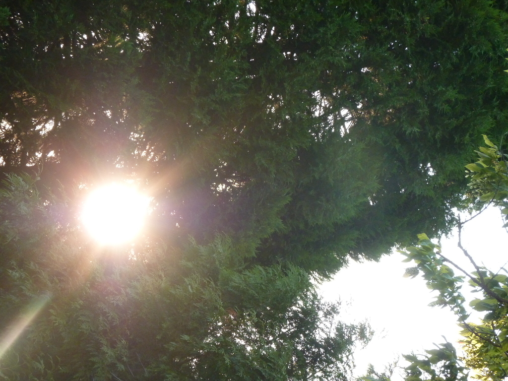 No s'ha trobat l'arxiu